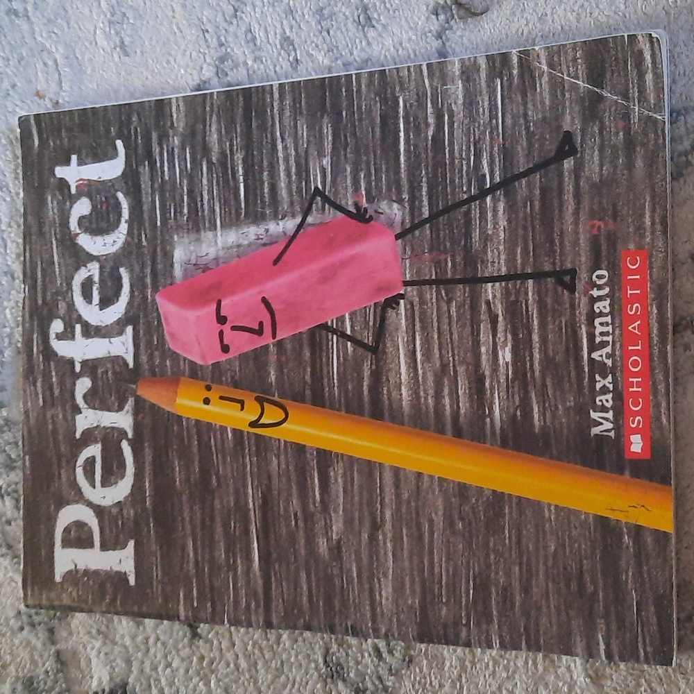 Perfect by Max Amato Book